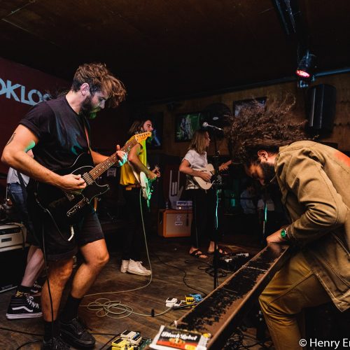 yndianmynahlive-7